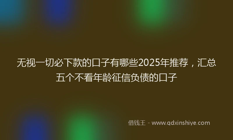 无视一切必下款的口子有哪些2025年推荐，汇总五个不看年龄征信负债的口子