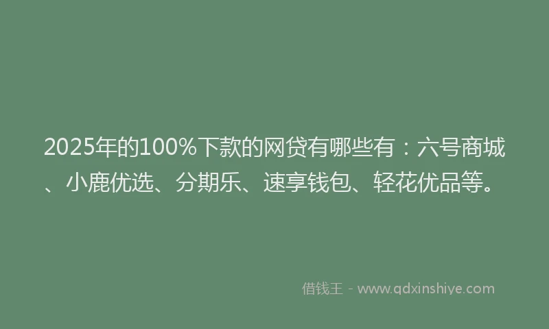 2025年的100%下款的网贷有哪些有：六号商城、小鹿优选、分期乐、速享钱包、轻花优品等。