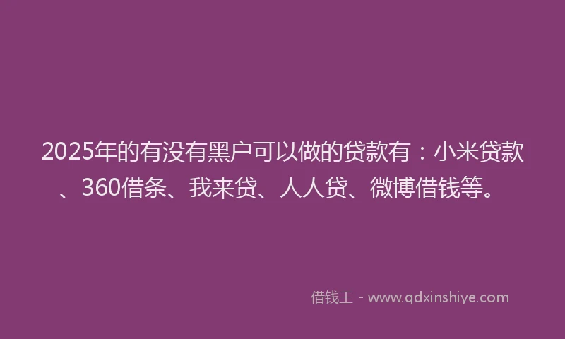 2025年的有没有黑户可以做的贷款有：小米贷款、360借条、我来贷、人人贷、微博借钱等。
