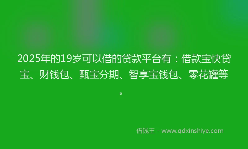 2025年的19岁可以借的贷款平台有：借款宝快贷宝、财钱包、甄宝分期、智享宝钱包、零花罐等。