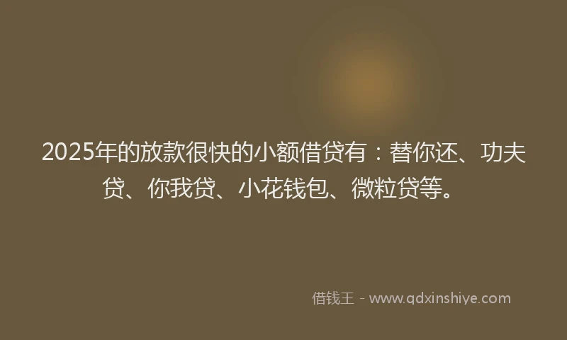 2025年的放款很快的小额借贷有：替你还、功夫贷、你我贷、小花钱包、微粒贷等。