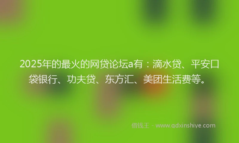 2025年的最火的网贷论坛a有：滴水贷、平安口袋银行、功夫贷、东方汇、美团生活费等。