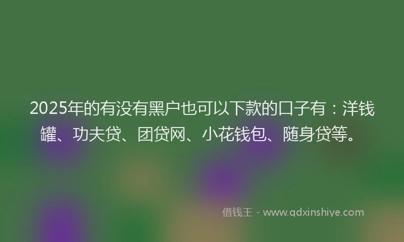 2025年的有没有黑户也可以下款的口子有：洋钱罐、功夫贷、团贷网、小花钱包、随身贷等。