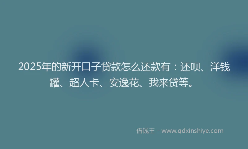 2025年的新开口子贷款怎么还款有：还呗、洋钱罐、超人卡、安逸花、我来贷等。