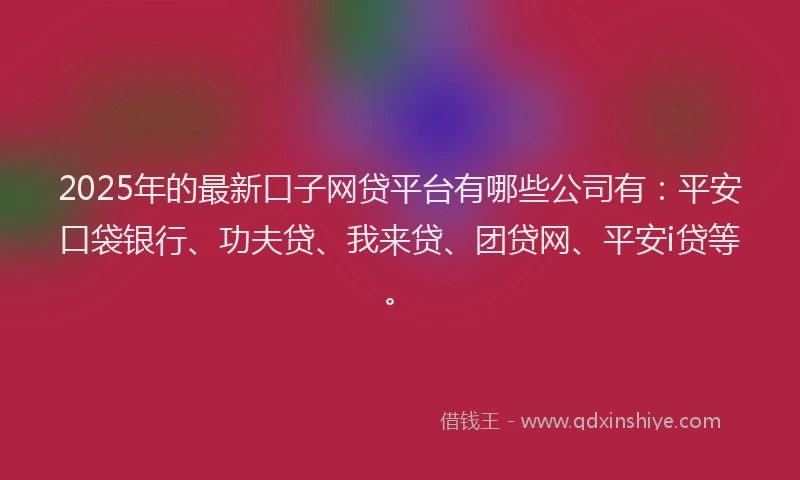 2025年的最新口子网贷平台有哪些公司有：平安口袋银行、功夫贷、我来贷、团贷网、平安i贷等。