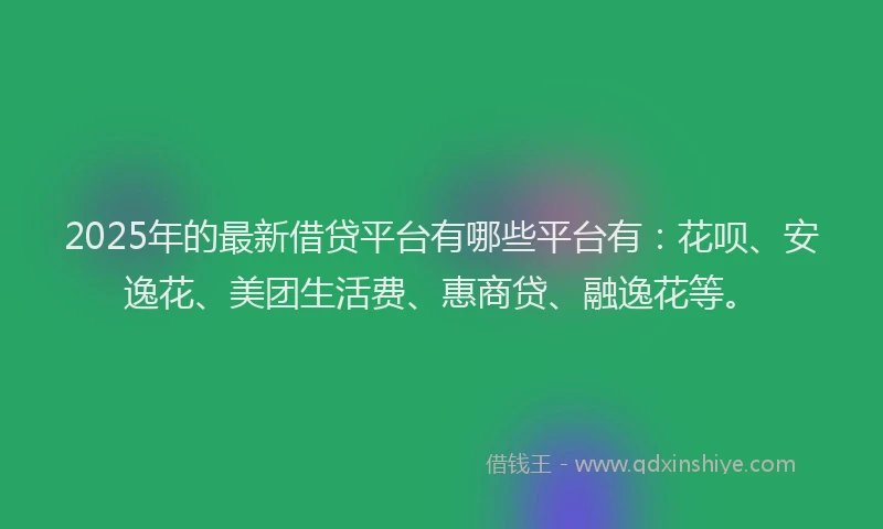 2025年的最新借贷平台有哪些平台有：花呗、安逸花、美团生活费、惠商贷、融逸花等。