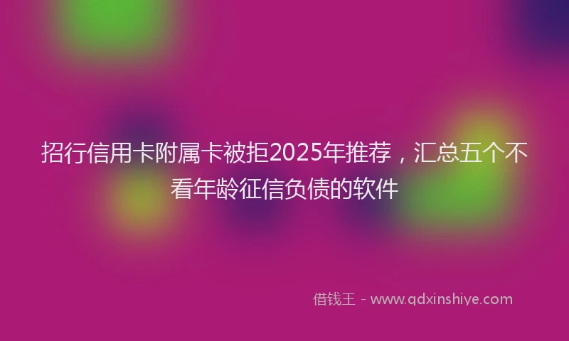 招行信用卡附属卡被拒2025年推荐，汇总五个不看年龄征信负债的软件