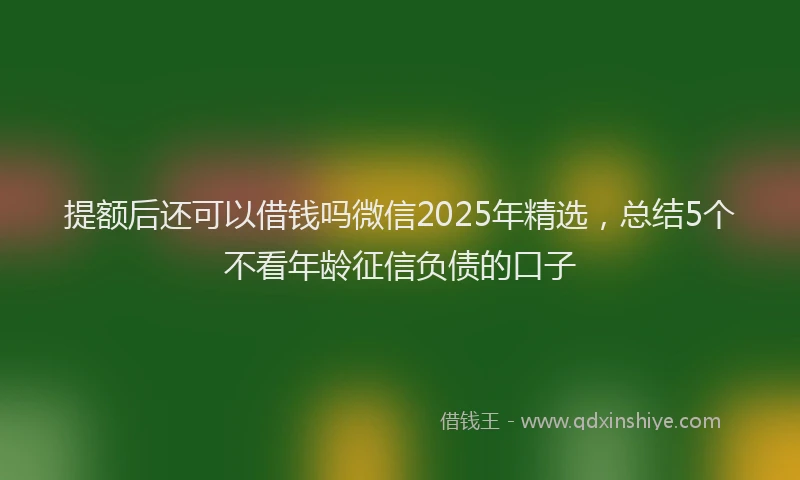 提额后还可以借钱吗微信2025年精选，总结5个不看年龄征信负债的口子