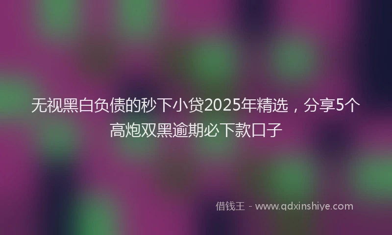无视黑白负债的秒下小贷2025年精选，分享5个高炮双黑逾期必下款口子