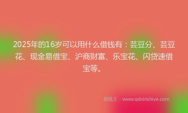 2025年的16岁可以用什么借钱有：芸豆分、芸豆花、现金易借宝、沪商财富、乐宝花、闪贷速借宝等。