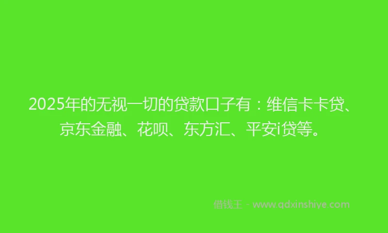 2025年的无视一切的贷款口子有：维信卡卡贷、京东金融、花呗、东方汇、平安i贷等。