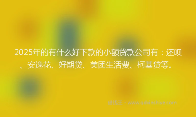 2025年的有什么好下款的小额贷款公司有：还呗、安逸花、好期贷、美团生活费、柯基贷等。