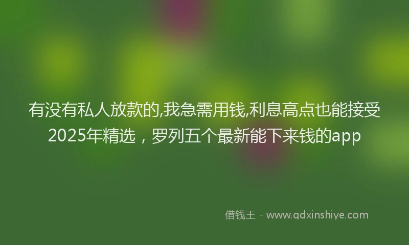 有没有私人放款的,我急需用钱,利息高点也能接受2025年精选，罗列五个最新能下来钱的app