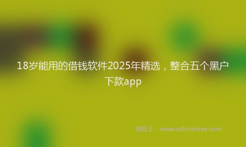 18岁能用的借钱软件2025年精选，整合五个黑户下款app