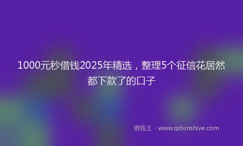 1000元秒借钱2025年精选，整理5个征信花居然都下款了的口子
