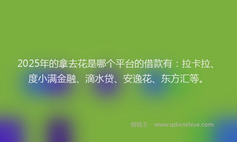 2025年的拿去花是哪个平台的借款有：拉卡拉、度小满金融、滴水贷、安逸花、东方汇等。