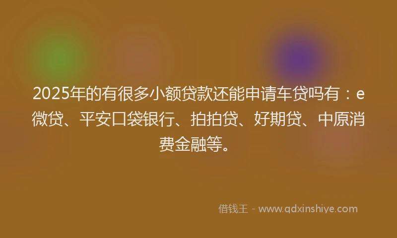 2025年的有很多小额贷款还能申请车贷吗有：e微贷、平安口袋银行、拍拍贷、好期贷、中原消费金融等。