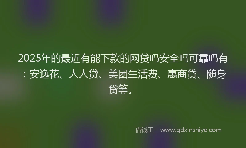 2025年的最近有能下款的网贷吗安全吗可靠吗有：安逸花、人人贷、美团生活费、惠商贷、随身贷等。
