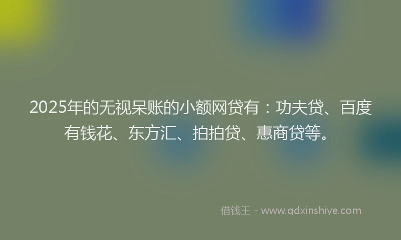 2025年的无视呆账的小额网贷有：功夫贷、百度有钱花、东方汇、拍拍贷、惠商贷等。