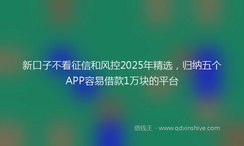 新口子不看征信和风控2025年精选，归纳五个APP容易借款1万块的平台