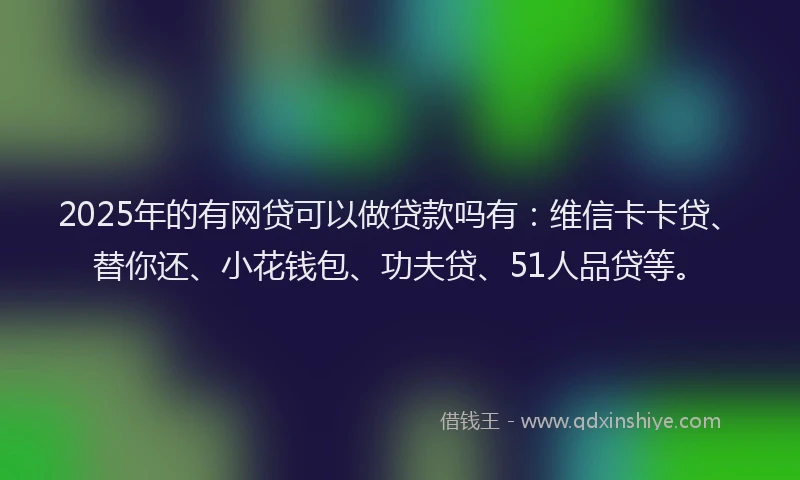 2025年的有网贷可以做贷款吗有：维信卡卡贷、替你还、小花钱包、功夫贷、51人品贷等。