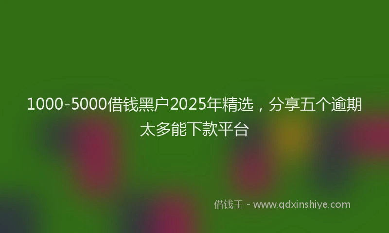 1000-5000借钱黑户2025年精选，分享五个逾期太多能下款平台