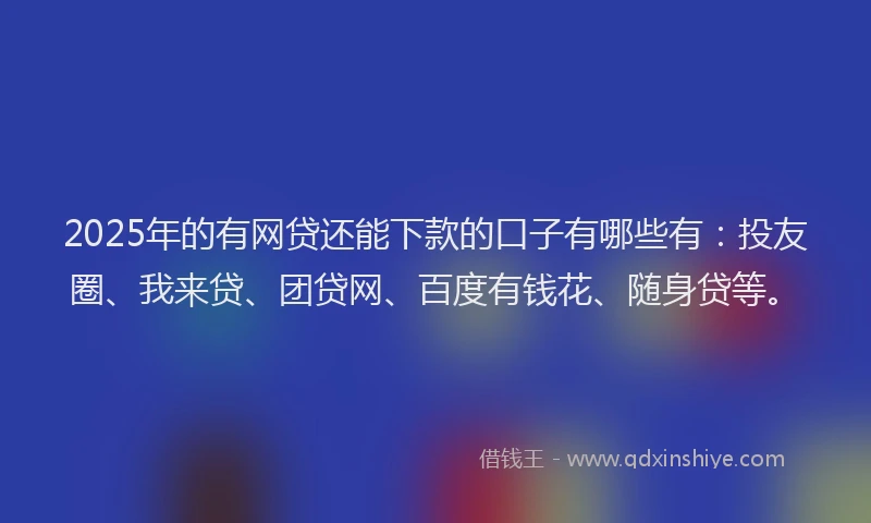 2025年的有网贷还能下款的口子有哪些有：投友圈、我来贷、团贷网、百度有钱花、随身贷等。