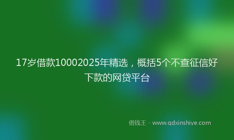17岁借款10002025年精选，概括5个不查征信好下款的网贷平台