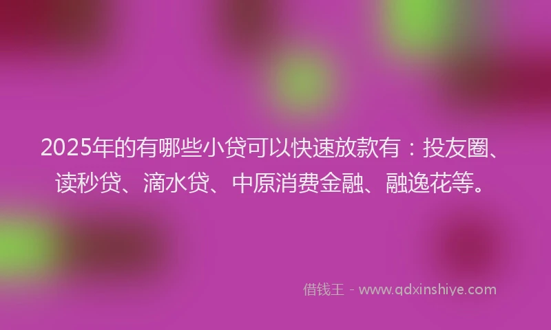 2025年的有哪些小贷可以快速放款有：投友圈、读秒贷、滴水贷、中原消费金融、融逸花等。