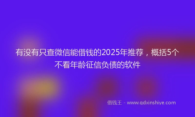 有没有只查微信能借钱的2025年推荐，概括5个不看年龄征信负债的软件
