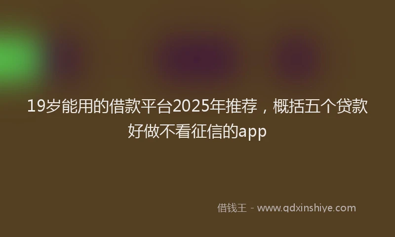 19岁能用的借款平台2025年推荐，概括五个贷款好做不看征信的app