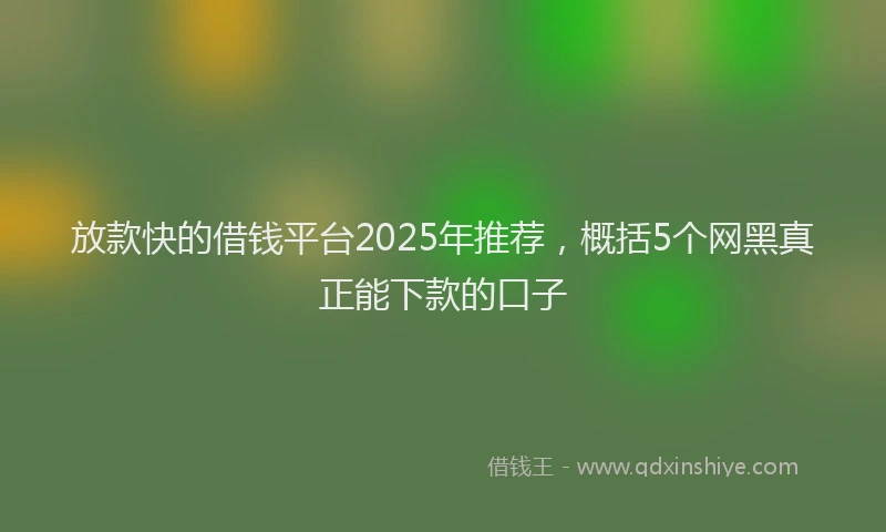 放款快的借钱平台2025年推荐，概括5个网黑真正能下款的口子