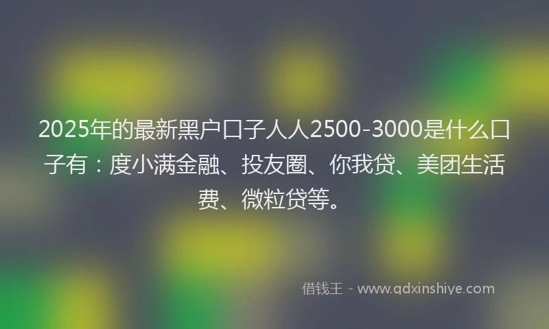 2025年的最新黑户口子人人2500-3000是什么口子有：度小满金融、投友圈、你我贷、美团生活费、微粒贷等。