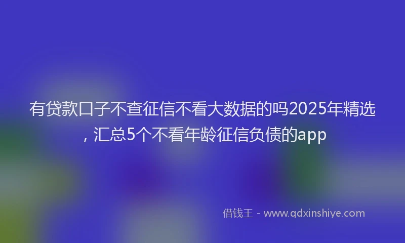 有贷款口子不查征信不看大数据的吗2025年精选，汇总5个不看年龄征信负债的app