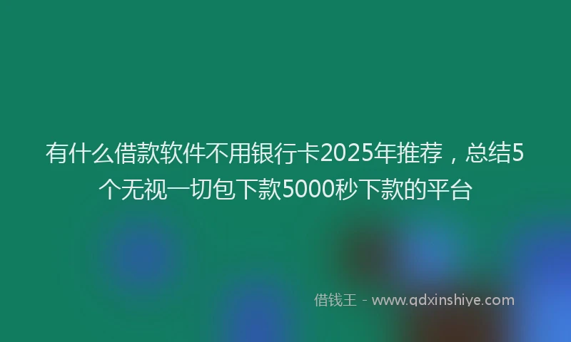 有什么借款软件不用银行卡2025年推荐，总结5个无视一切包下款5000秒下款的平台