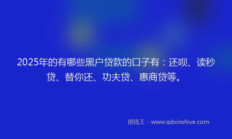 2025年的有哪些黑户贷款的口子有：还呗、读秒贷、替你还、功夫贷、惠商贷等。