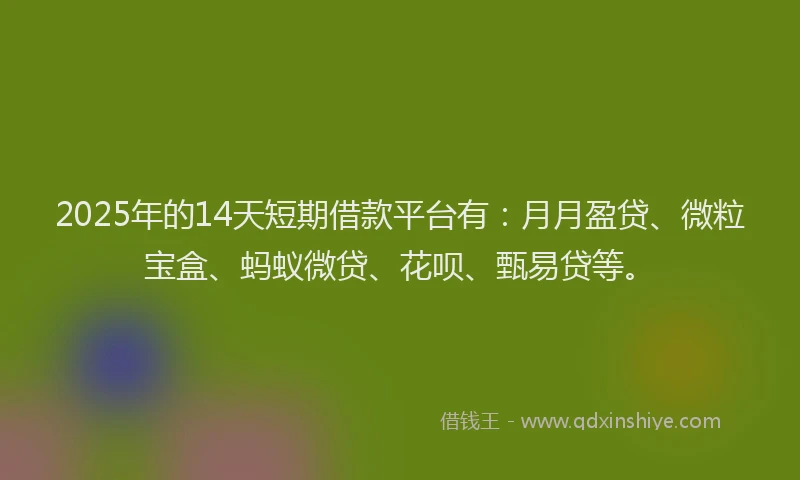 2025年的14天短期借款平台有：月月盈贷、微粒宝盒、蚂蚁微贷、花呗、甄易贷等。