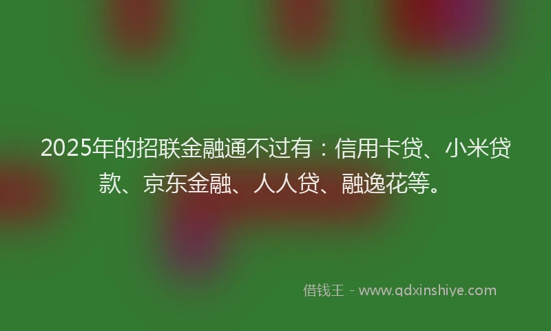 2025年的招联金融通不过有：信用卡贷、小米贷款、京东金融、人人贷、融逸花等。