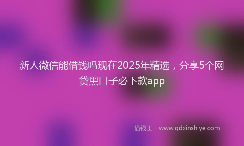 新人微信能借钱吗现在2025年精选，分享5个网贷黑口子必下款app