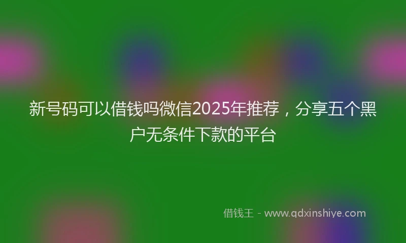 新号码可以借钱吗微信2025年推荐，分享五个黑户无条件下款的平台