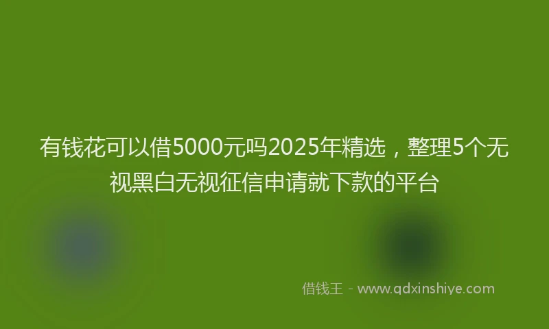 有钱花可以借5000元吗2025年精选，整理5个无视黑白无视征信申请就下款的平台