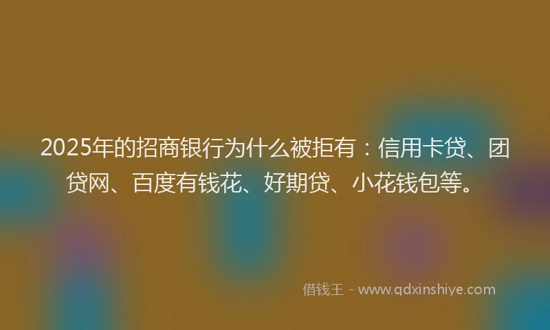 2025年的招商银行为什么被拒有：信用卡贷、团贷网、百度有钱花、好期贷、小花钱包等。