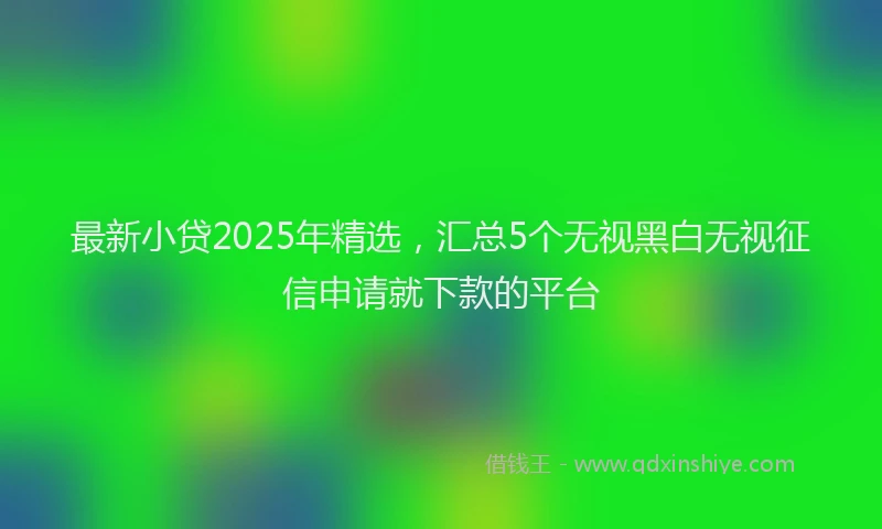 最新小贷2025年精选，汇总5个无视黑白无视征信申请就下款的平台