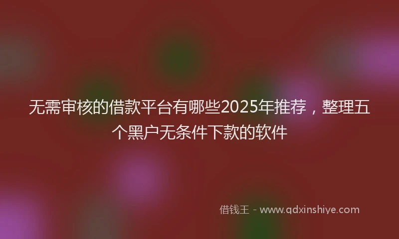 无需审核的借款平台有哪些2025年推荐，整理五个黑户无条件下款的软件