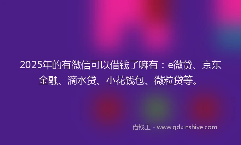 2025年的有微信可以借钱了嘛有：e微贷、京东金融、滴水贷、小花钱包、微粒贷等。