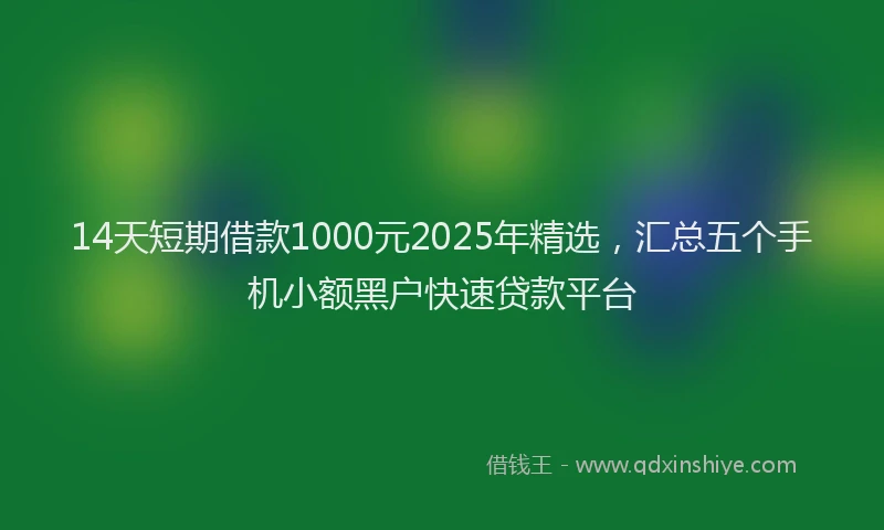 14天短期借款1000元2025年精选,汇总五个手机小额黑户快速贷款平台