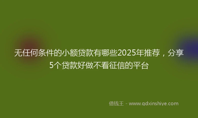 无任何条件的小额贷款有哪些2025年推荐，分享5个贷款好做不看征信的平台