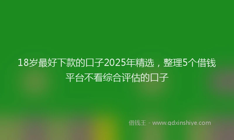 18岁最好下款的口子2025年精选，整理5个借钱平台不看综合评估的口子