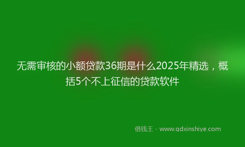 无需审核的小额贷款36期是什么2025年精选，概括5个不上征信的贷款软件