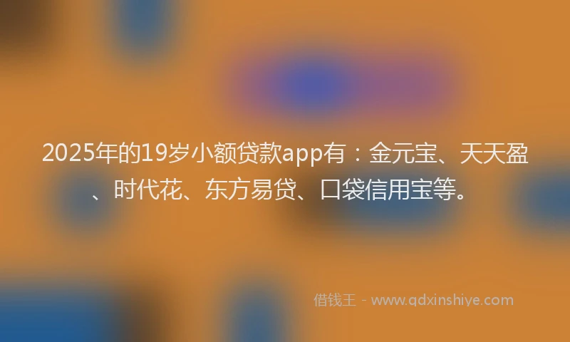 2025年的19岁小额贷款app有：金元宝、天天盈、时代花、东方易贷、口袋信用宝等。